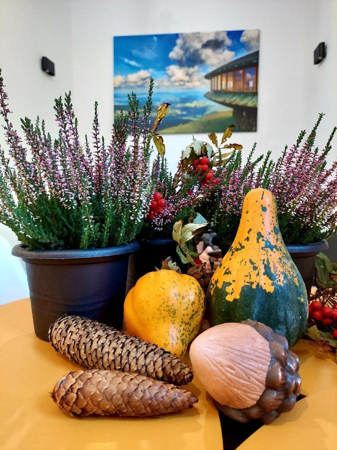 Saneczkowa3.10 Leilighet Karpacz Eksteriør bilde